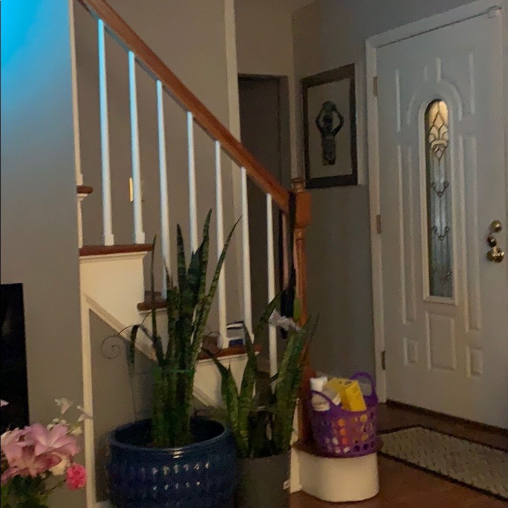 Meet your Posher, Adam